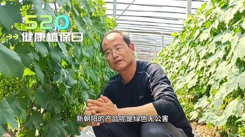 520健康植保日——擁抱綠色農業(yè)，我們在行動(dòng)