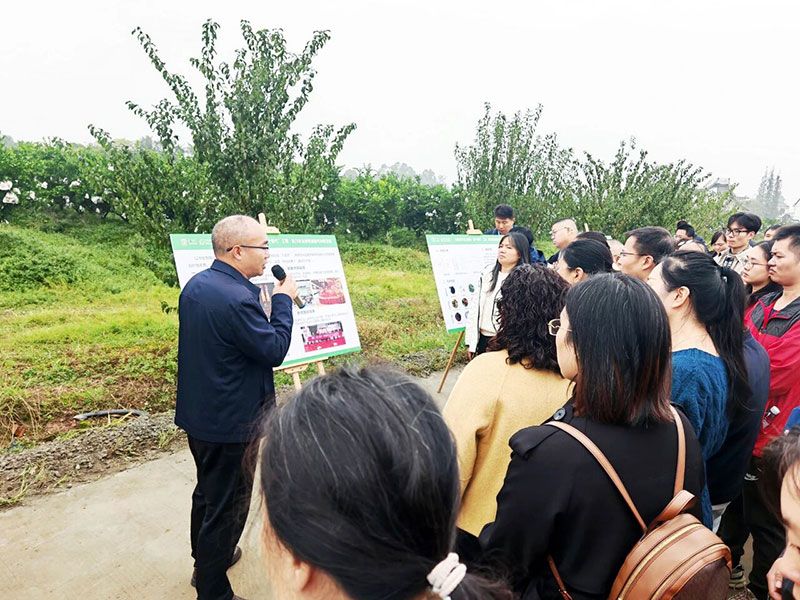 新朝陽(yáng)生物技術(shù)助力綠色防控，推動(dòng)柑橘產(chǎn)業(yè)綠色高質(zhì)量發(fā)展