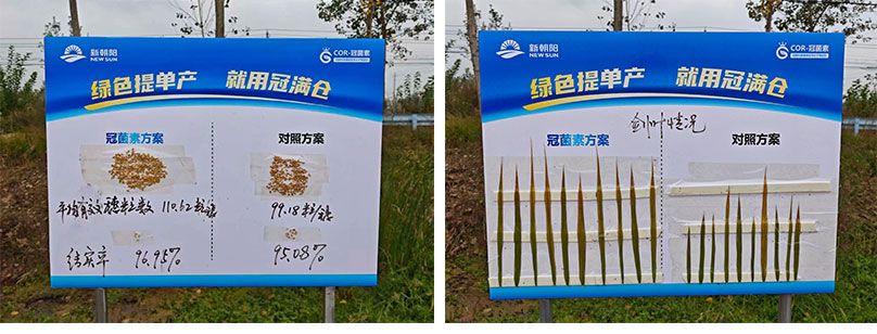 成都新朝陽(yáng)COR冠菌素入選“2025中國農業(yè)重大新產(chǎn)品”